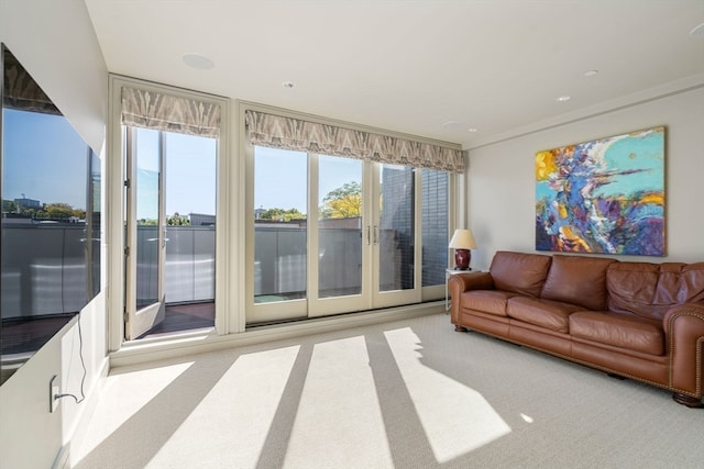 living room featuring light carpet