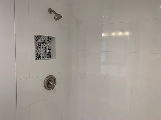 room details with tiled shower