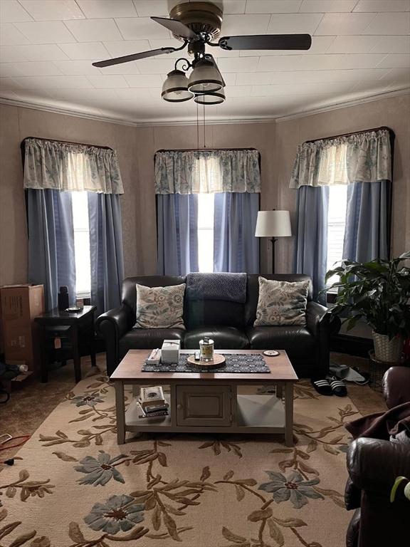 302 Cory St, Fall River, MA 02720 - living area featuring plenty of natural light, ceiling fan, ornamental molding, and light carpet