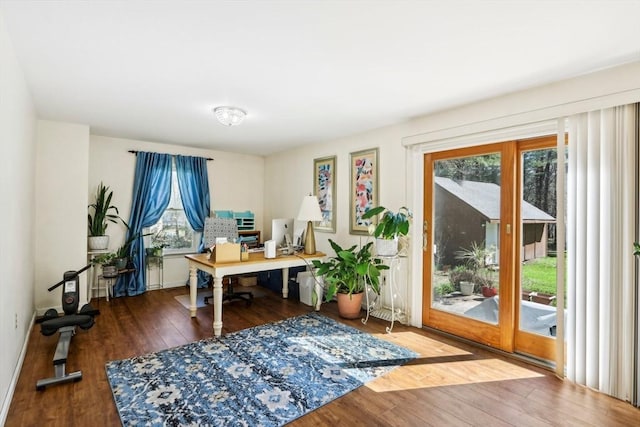 home office featuring wood finished floors and a wealth of natural light