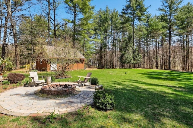 view of yard featuring a fire pit, a patio area, and an outbuilding