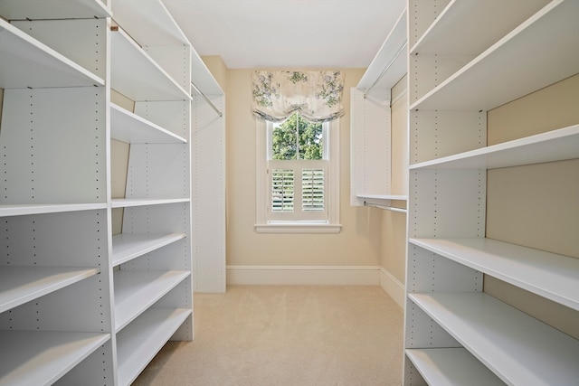 walk in closet featuring carpet floors