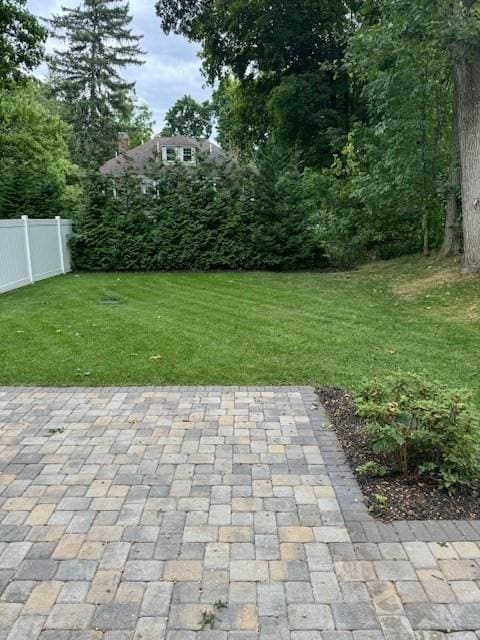 view of yard featuring a patio