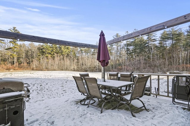 snow covered patio with grilling area