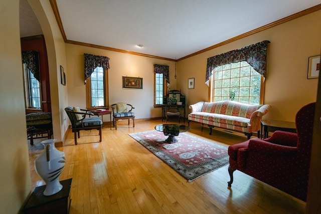 9 Buffalo Run, Southborough, MA 01772 - living area with arched walkways, plenty of natural light, crown molding, hardwood / wood-style flooring, and baseboards