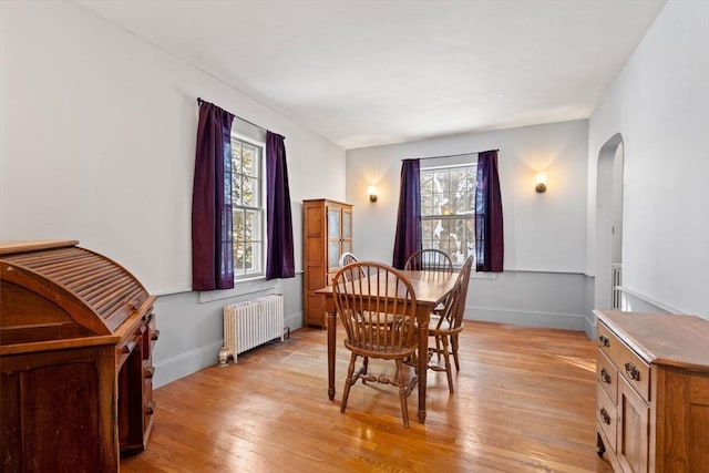 dining room featuring radiator, a healthy amount of sunlight, and light wood-type flooring