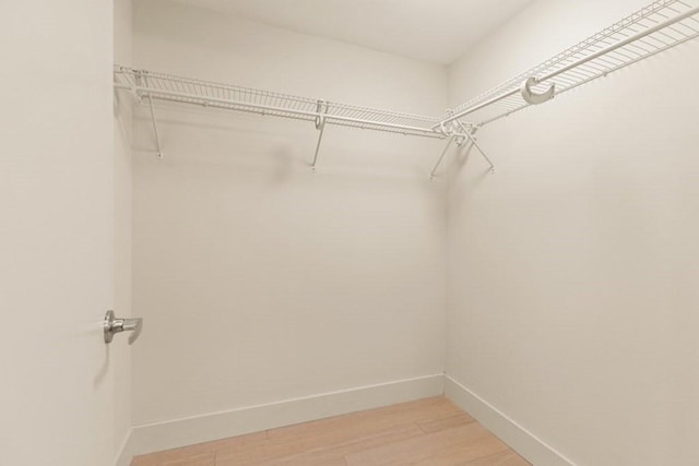 spacious closet featuring hardwood / wood-style flooring