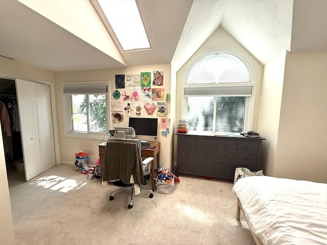 12 Cozy St Unit 12, Watertown, MA 02472 - bedroom featuring lofted ceiling, carpet flooring, and a closet