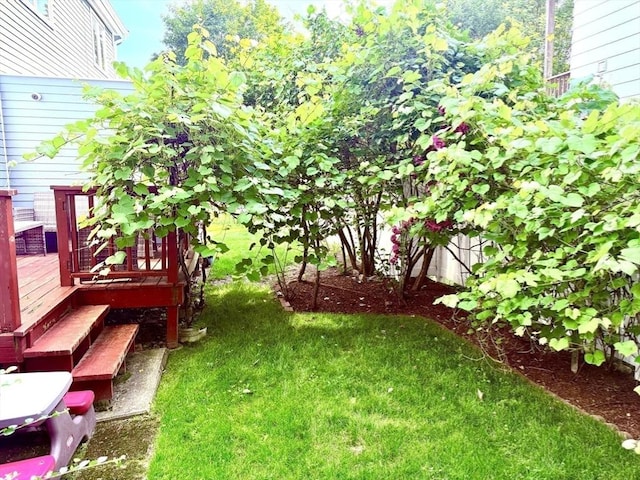 12 Cozy St Unit 12, Watertown, MA 02472 - view of grassy yard featuring a deck