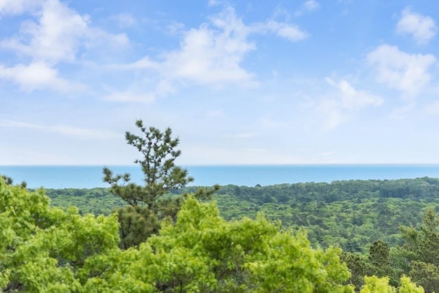51 Tinkers Blf Unit 51, Plymouth, MA 02360 - water view with a forest