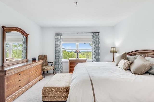 51 Tinkers Blf Unit 51, Plymouth, MA 02360 - bedroom featuring light carpet and multiple windows