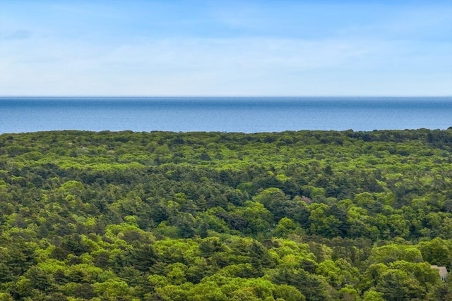 51 Tinkers Blf Unit 51, Plymouth, MA 02360 - aerial view of a heavily wooded area and a nearby body of water