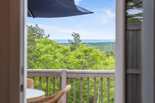 51 Tinkers Blf Unit 51, Plymouth, MA 02360 - view of balcony