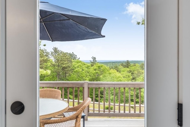 51 Tinkers Blf Unit 51, Plymouth, MA 02360 - view of balcony