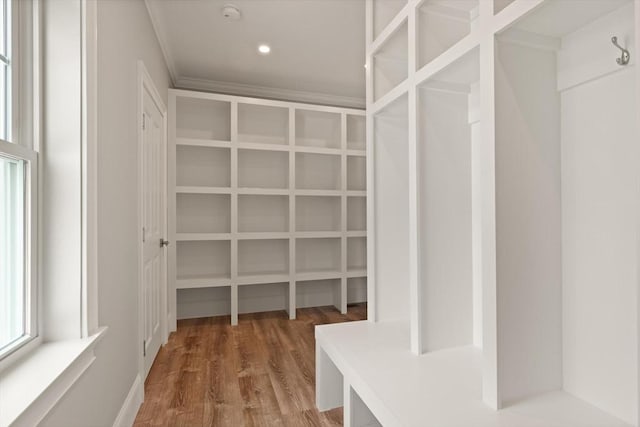 spacious closet featuring wood finished floors