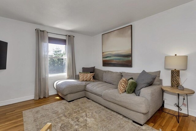 living room with baseboards and wood finished floors