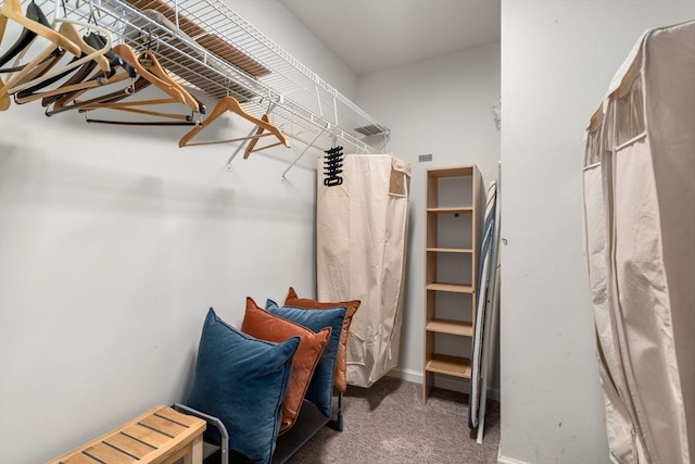 17 Angela Ln Unit 17, Watertown, MA 02472 - walk in closet featuring carpet floors