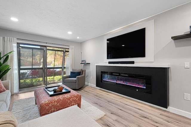 living room with light hardwood / wood-style floors