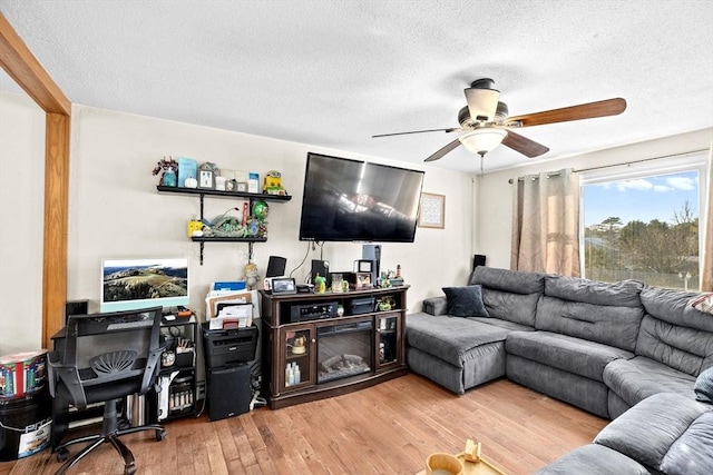 living room with ceiling fan, light hardwood / wood-style floors, and a textured ceiling