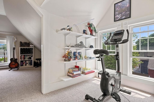 37 Devereux St, Marblehead, MA 01945 - exercise area featuring lofted ceiling, plenty of natural light, and carpet flooring