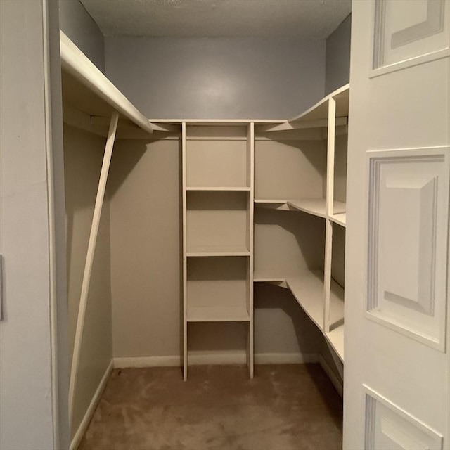 spacious closet with carpet