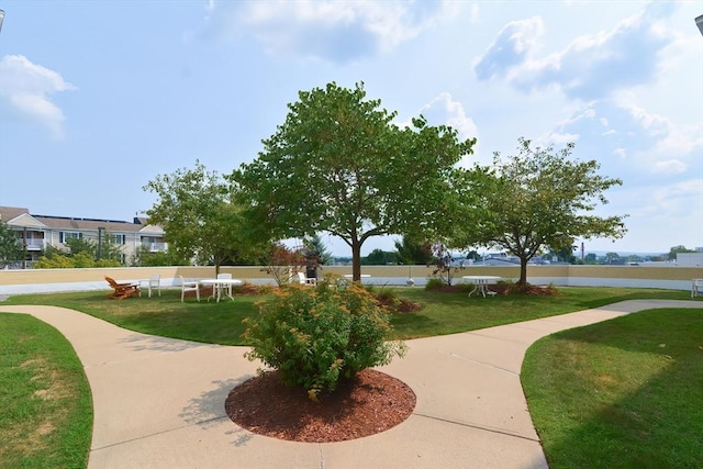 211 Central St Unit A305, Norwood, MA 02062 - view of property's community with a yard