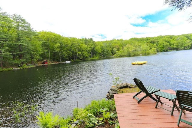 14 Cormack Rd, Sturbridge, MA 01566 - dock area featuring a wooded view and a water view
