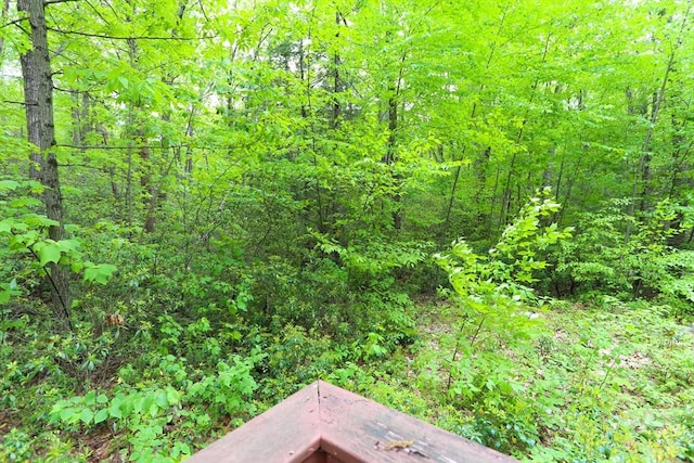 14 Cormack Rd, Sturbridge, MA 01566 - view of tree filled area