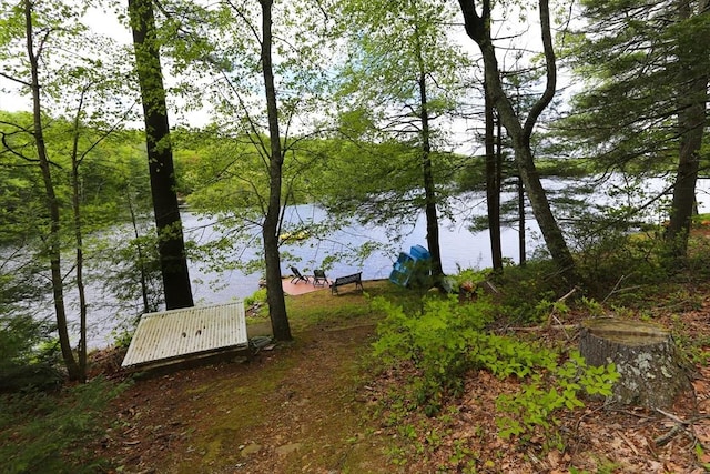 14 Cormack Rd, Sturbridge, MA 01566 - dock with a water view