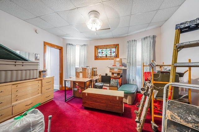 21 Sudan St, Boston, MA 02125 - bedroom with carpet and a drop ceiling