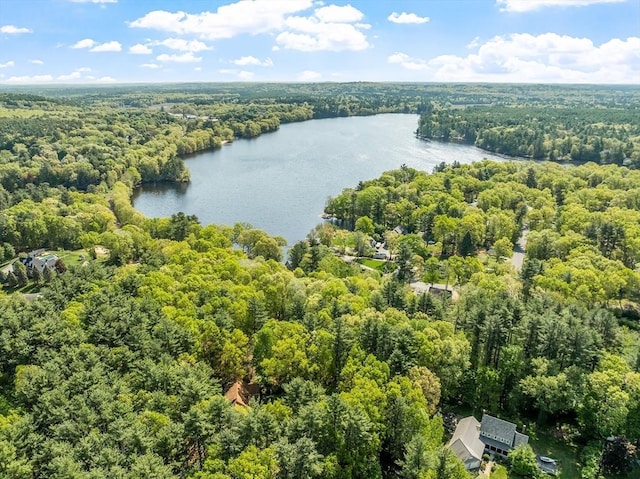 4 Clarke Rd, Littleton, MA 01460 - drone / aerial view of a heavily wooded area and a large body of water