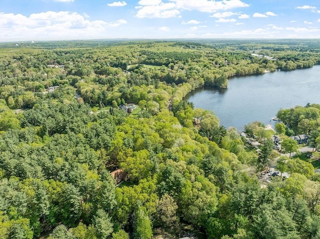 4 Clarke Rd, Littleton, MA 01460 - aerial view of a forest and a nearby body of water