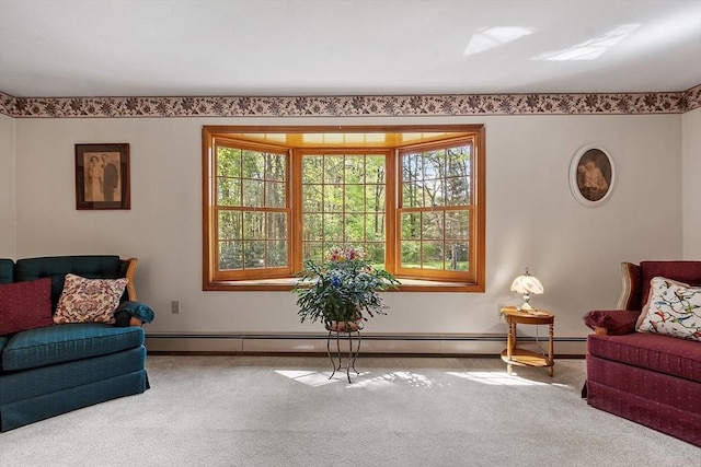 4 Clarke Rd, Littleton, MA 01460 - sitting room featuring carpet floors, plenty of natural light, and baseboards
