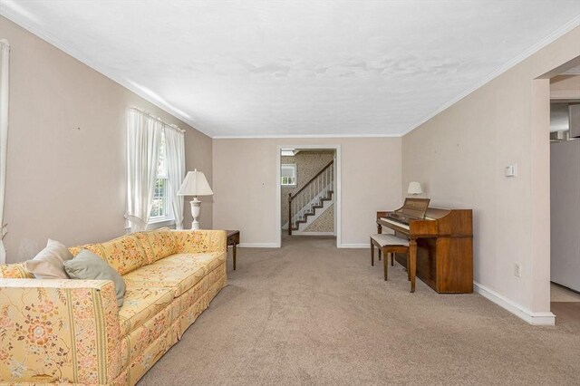 146 Elm St, Andover, MA 01810 - carpeted living room featuring baseboards, stairs, and crown molding