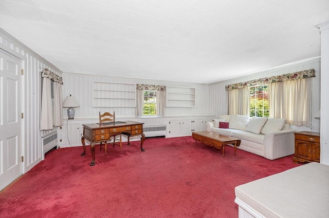 146 Elm St, Andover, MA 01810 - carpeted living area with radiator