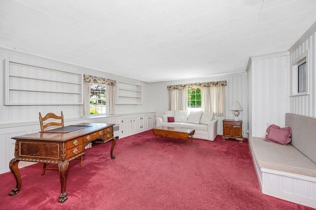 146 Elm St, Andover, MA 01810 - living room featuring plenty of natural light, carpet flooring, crown molding, and radiator