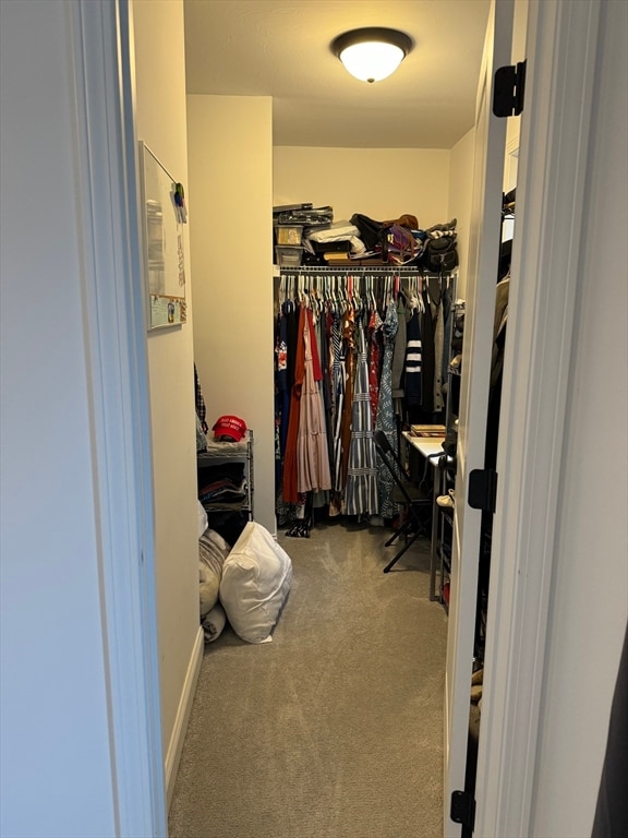 walk in closet with carpet flooring