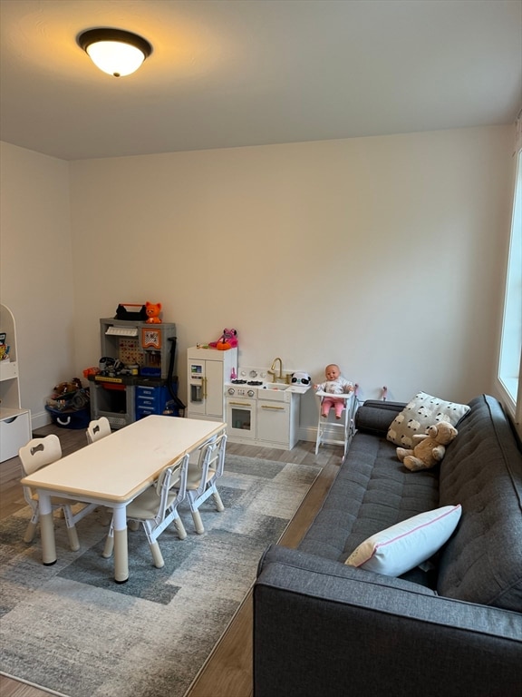 playroom featuring wood-type flooring