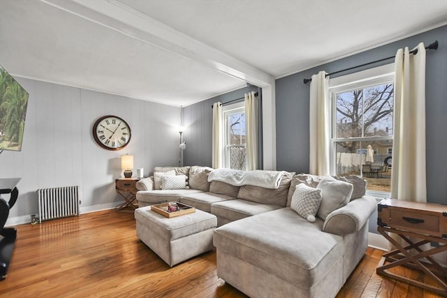 living room featuring radiator and wood-type flooring