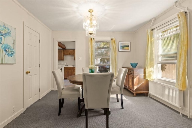 dining area with carpet, plenty of natural light, and radiator