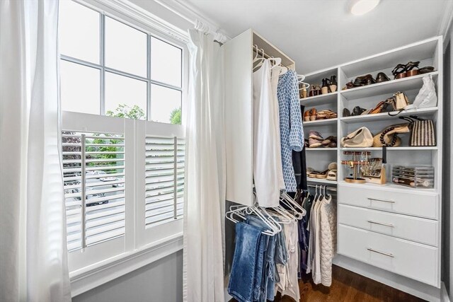 walk in closet with dark wood finished floors