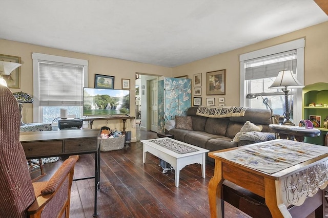 living room with wood-type flooring