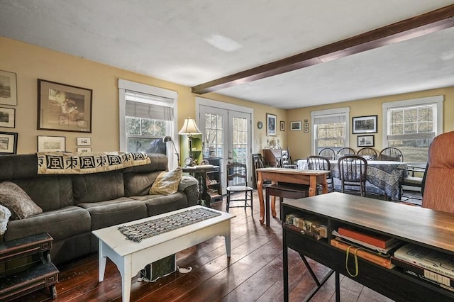 living room featuring french doors, a healthy amount of sunlight, and hardwood / wood-style flooring