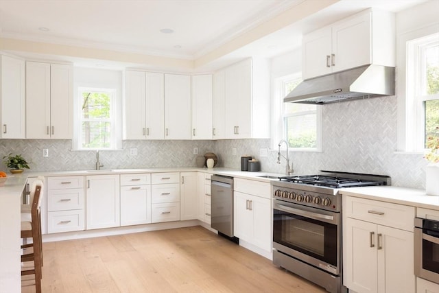 24 Ivory St, Boston, MA 02132 - kitchen with under cabinet range hood, appliances with stainless steel finishes, light wood finished floors, a sink, and white cabinets