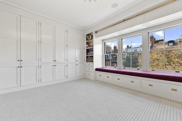 mudroom featuring light carpet and crown molding