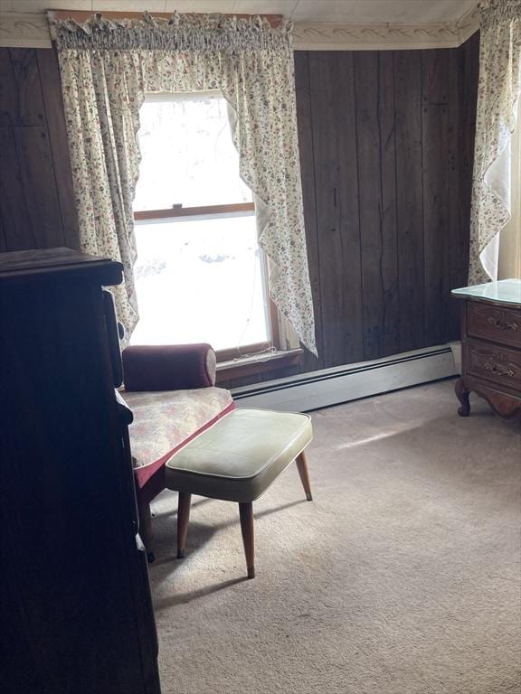 living area with baseboard heating, carpet, and wood walls