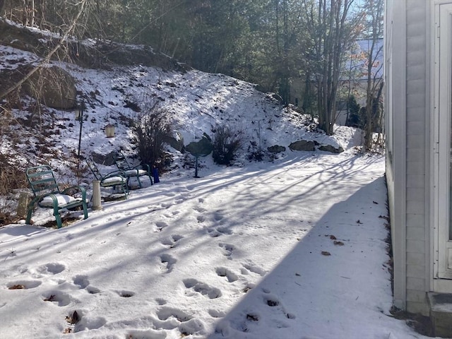 view of snowy yard