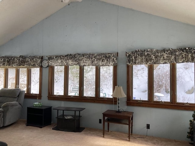 interior space with high vaulted ceiling