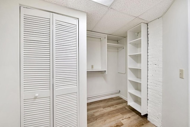 spacious closet with a paneled ceiling and light wood-style flooring