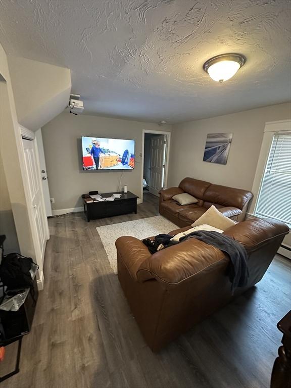 21 Sigel St, Worcester, MA 01610 - living room featuring wood finished floors and a textured ceiling